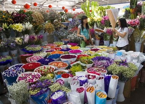 宁波花鳥市場哪個大？一場關於繁華與細緻的探討